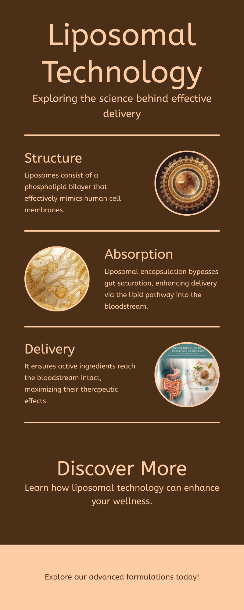 How Liposomal Encapsulation Works — Lynnity infographic