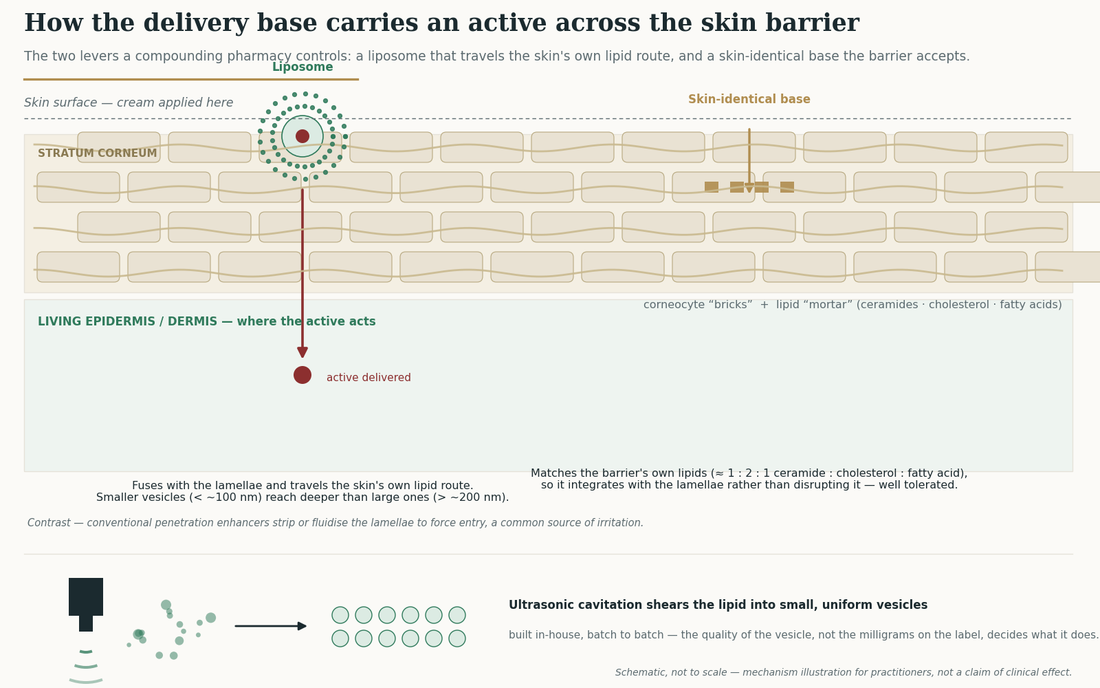 Diagram: the stratum corneum brick-and-mortar barrier, a phospholipid liposome fusing with the lipid lamellae to deliver an active, and a skin-identical lipid base integrating into the barrier; with an ultrasonic vesicle-build inset