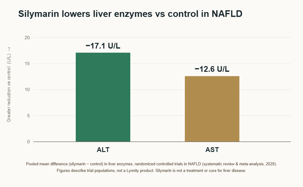 Pooled mean reduction in ALT (~17 U/L) and AST (~13 U/L) with silymarin vs control in NAFLD randomized trials