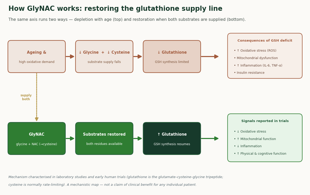 Mechanism map: with age, falling glycine and cysteine limit glutathione synthesis, linked to oxidative stress, mitochondrial dysfunction, inflammation and insulin resistance; GlyNA