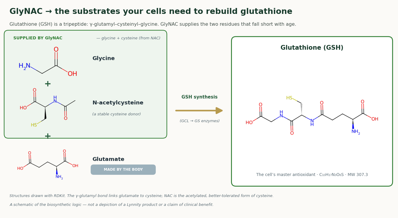 Glutathione is a tripeptide (glutamate + cysteine + glycine). GlyNAC supplies the two residues that decline with age: glycine directly, and cysteine via N-acetylcysteine. Structure