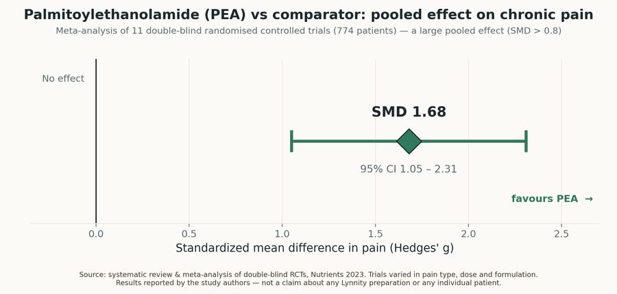 Forest-style plot: pooled standardized mean difference in pain of 1.68 (95% confidence interval 1.05 to 2.31) favouring PEA over comparator, from a meta-analysis of 11 double-blind randomized controlled trials in 774 patients.