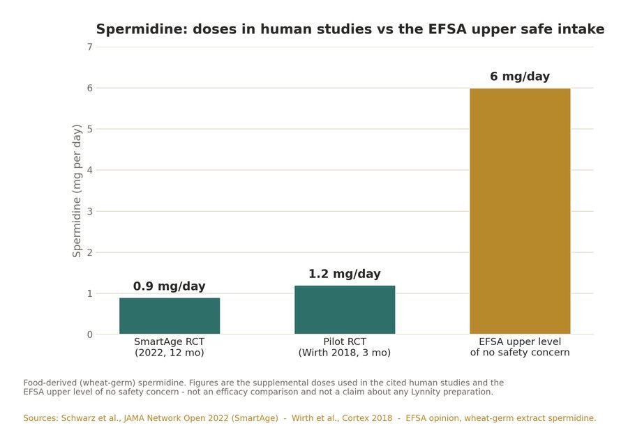 Spermidine doses in human studies vs EFSA upper safe intake